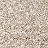 Beige Carpets