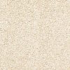 Cream Carpets