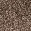 Brown Carpets