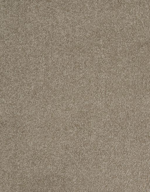 This carpet is 6mm thick, the compact pile of this carpet makes for a solid underfoot feel, giving support as you walk and is less likely to show footprints and other pile displacements.