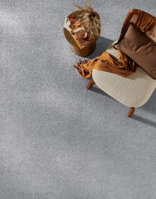 Plush - Feather Grey [2.50m x 4m]