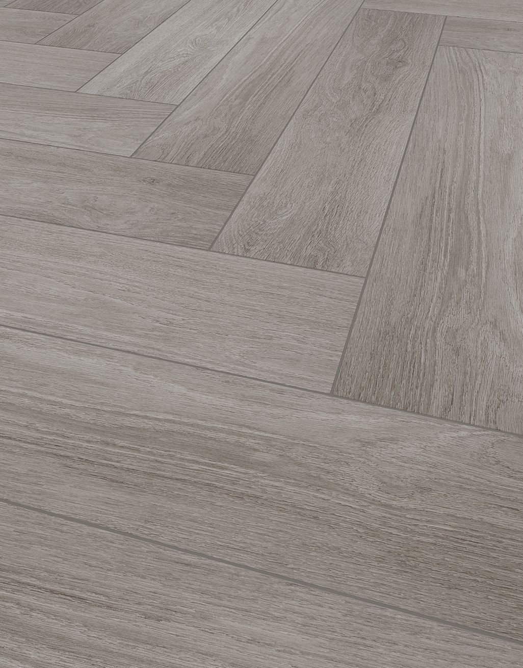 Clover Fawn Oak 3