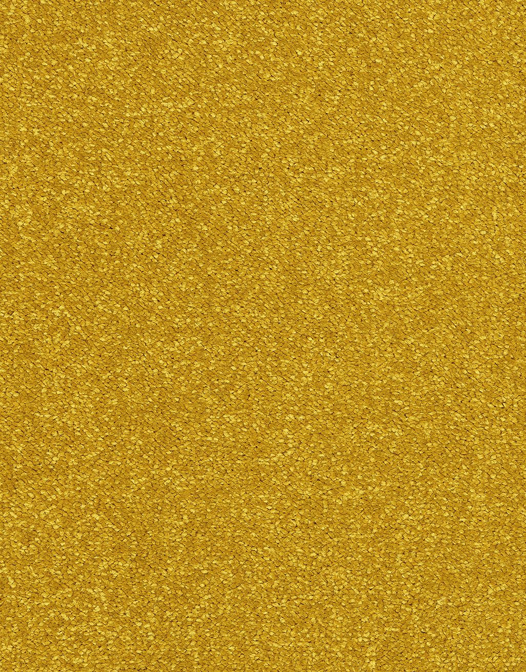 Allure - Old Gold [4.00m x 2.5m] 3