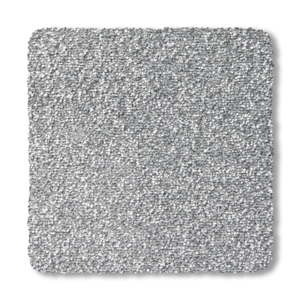 Premier - Carbon 2