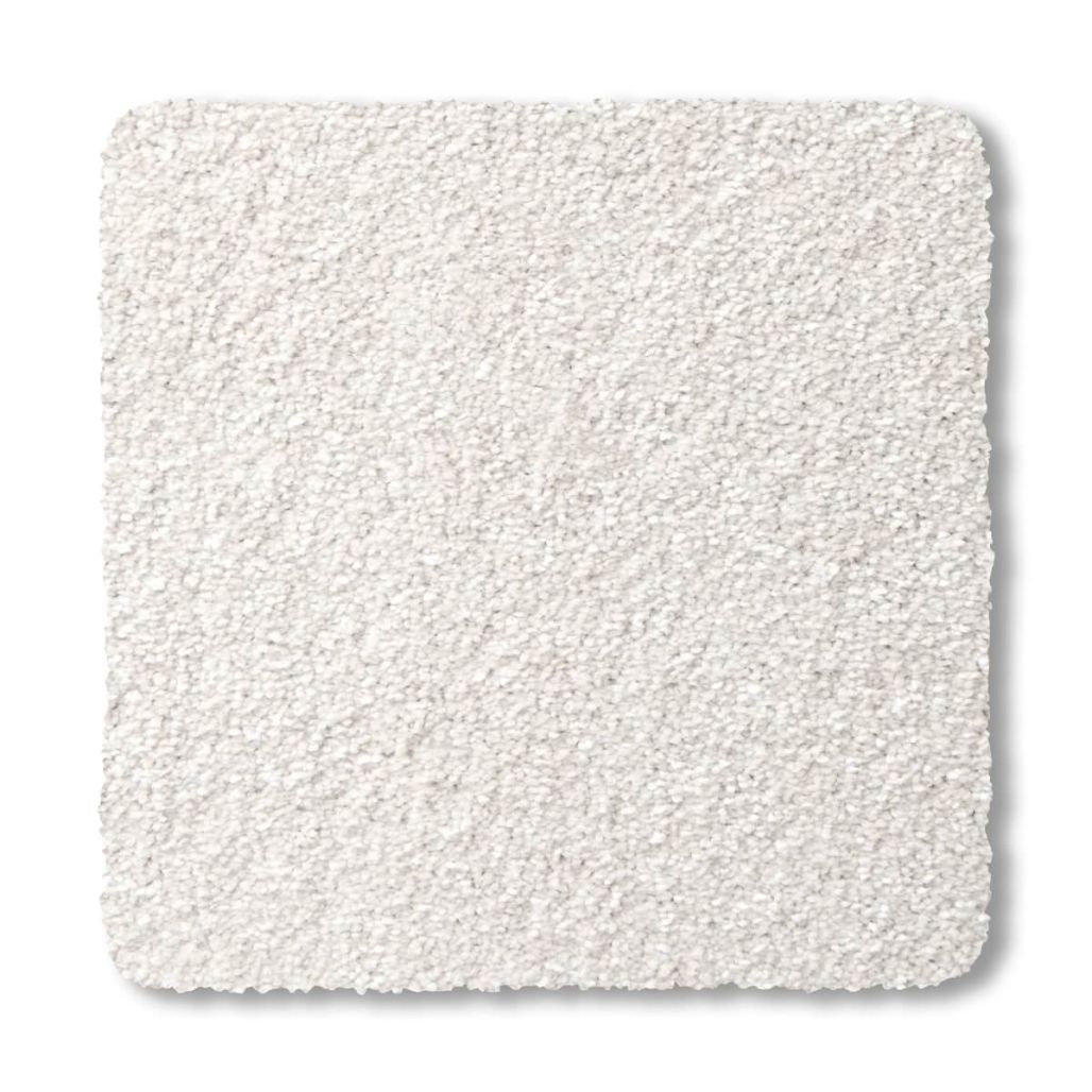 Premier - Chiffon 2