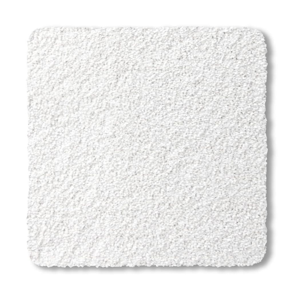Premier - Snowdrop 2