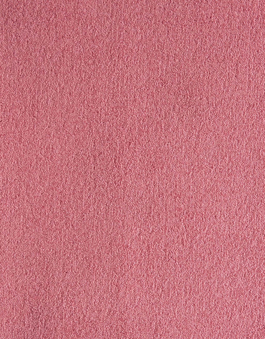 Rio - Passionfruit 3