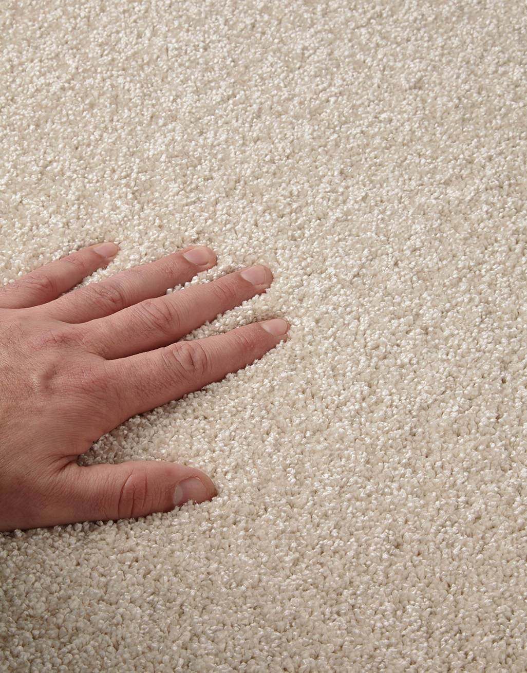 Sydney - Blanched Almond [4.25m x 5m] 3