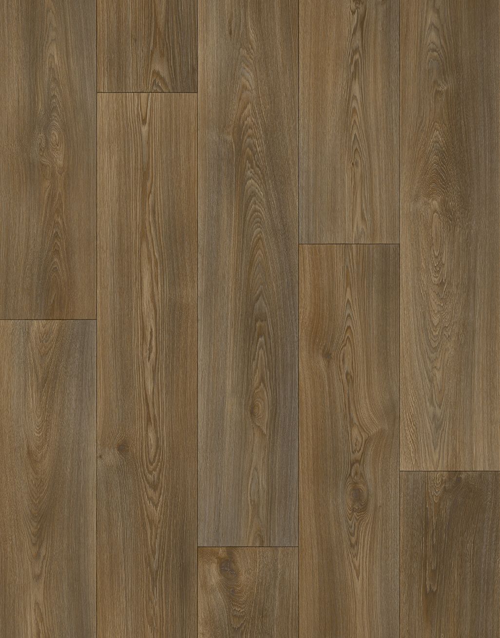 Victoria - Forest Oak 1