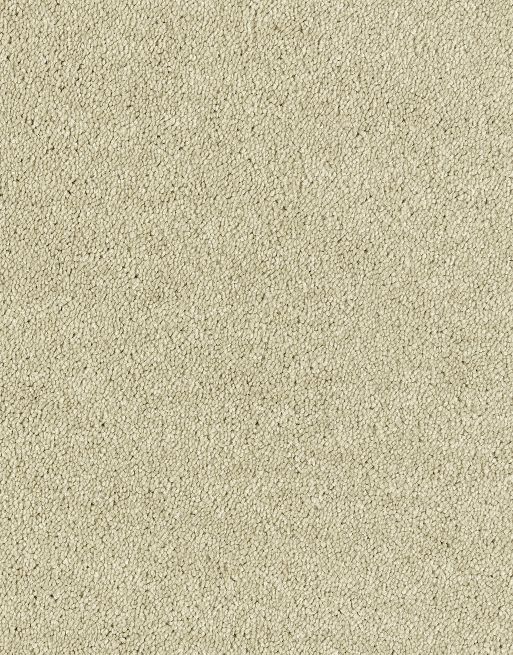 This carpet is 14mm thick, the compact pile of this carpet makes for a solid underfoot feel, giving support as you walk and is less likely to show footprints and other pile displacements.