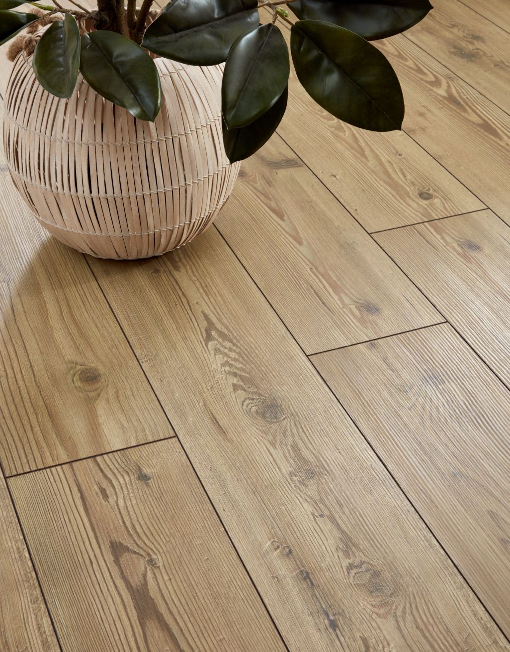 Verona - Golden Pine Laminate Flooring 2
