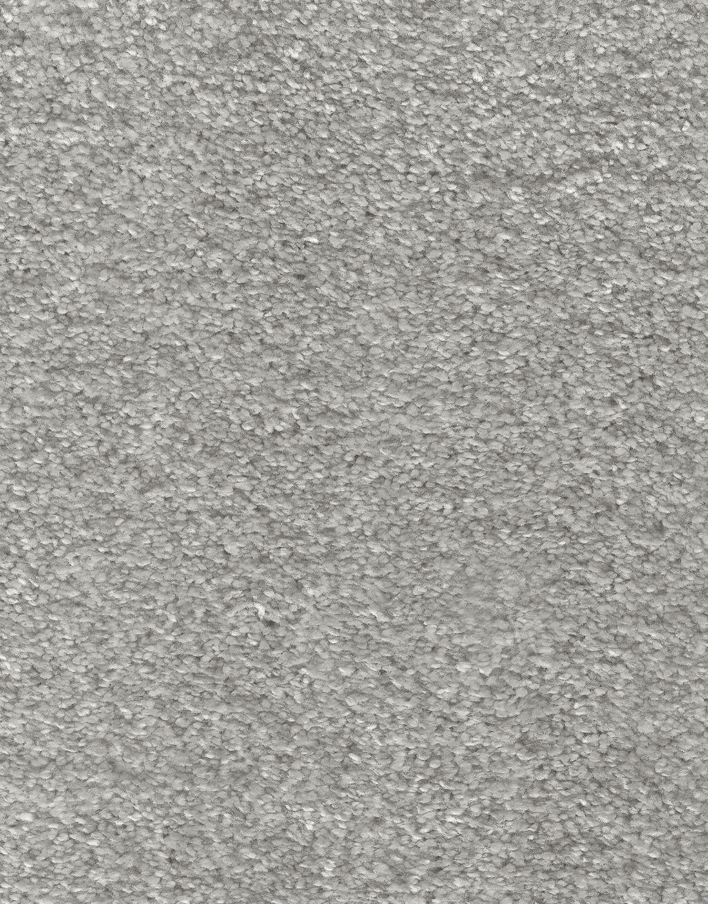 Impressions - Concrete [5.00m x 2m] 2