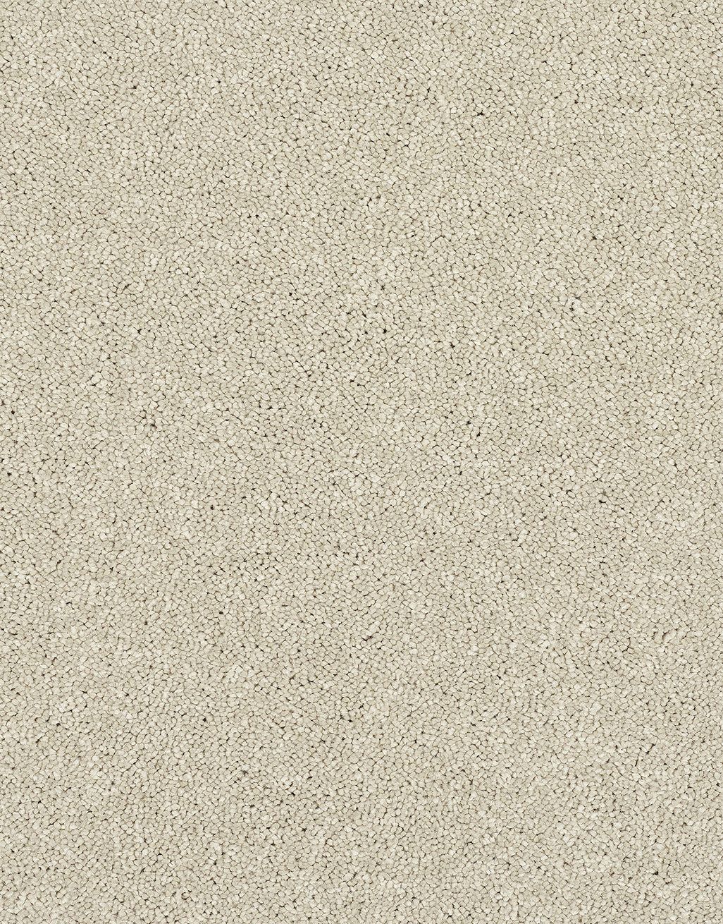 Allure - Cotton [2.00m x 5m] 3