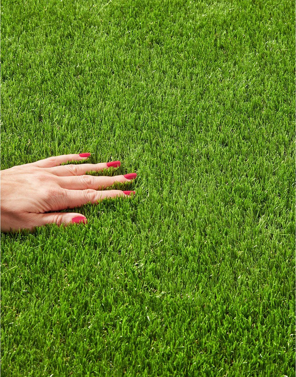 Monaco 2023  Artificial Grass - 2M 7