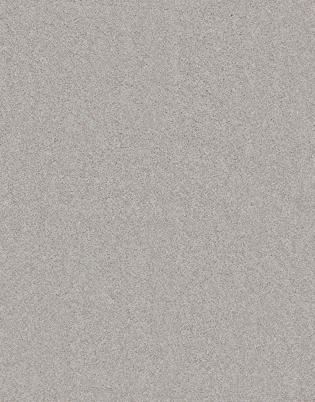 Royale Saxony - Snowdrop [2.25m x 5m] 3
