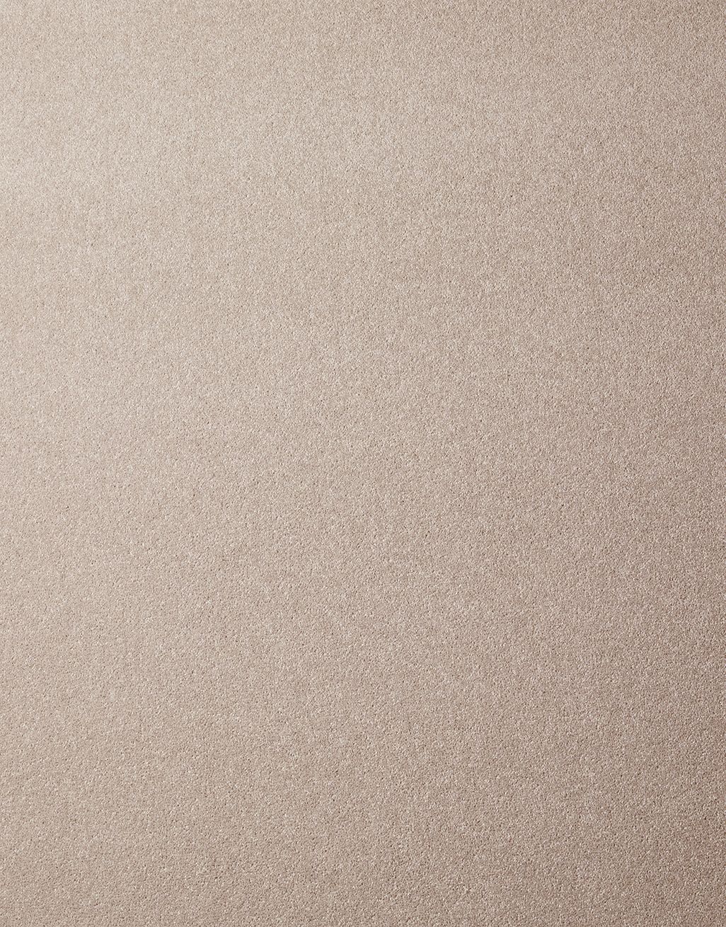 Sevenoaks - Soft Truffle [1.00m x 4m] 3