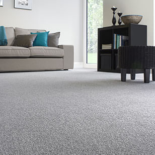 Shop Carpet